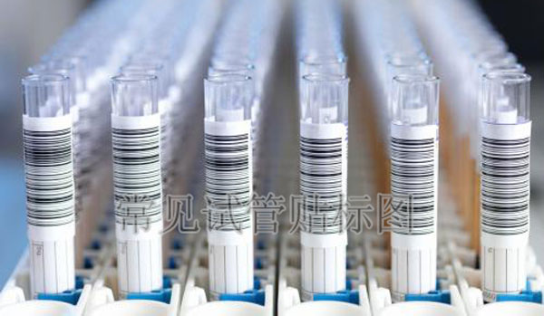 ԇ���N�˺���Ʒ�D