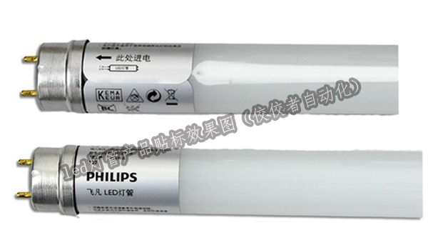 led�����N�˺�